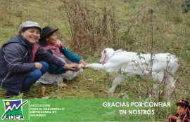 Galería de clientes en Huancarama