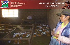 Galería de clientes en Huancaray