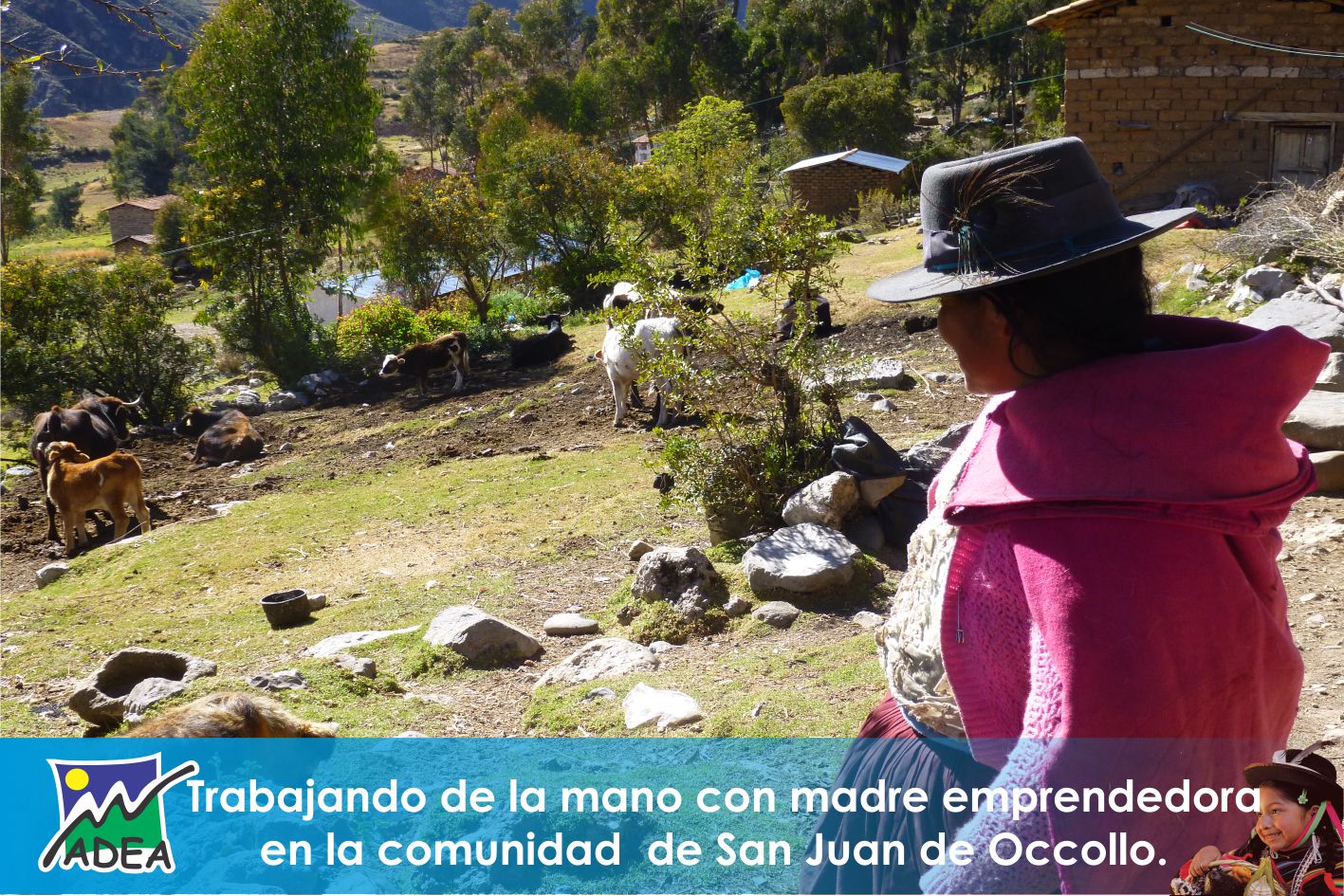 Actividad en Pampamarca